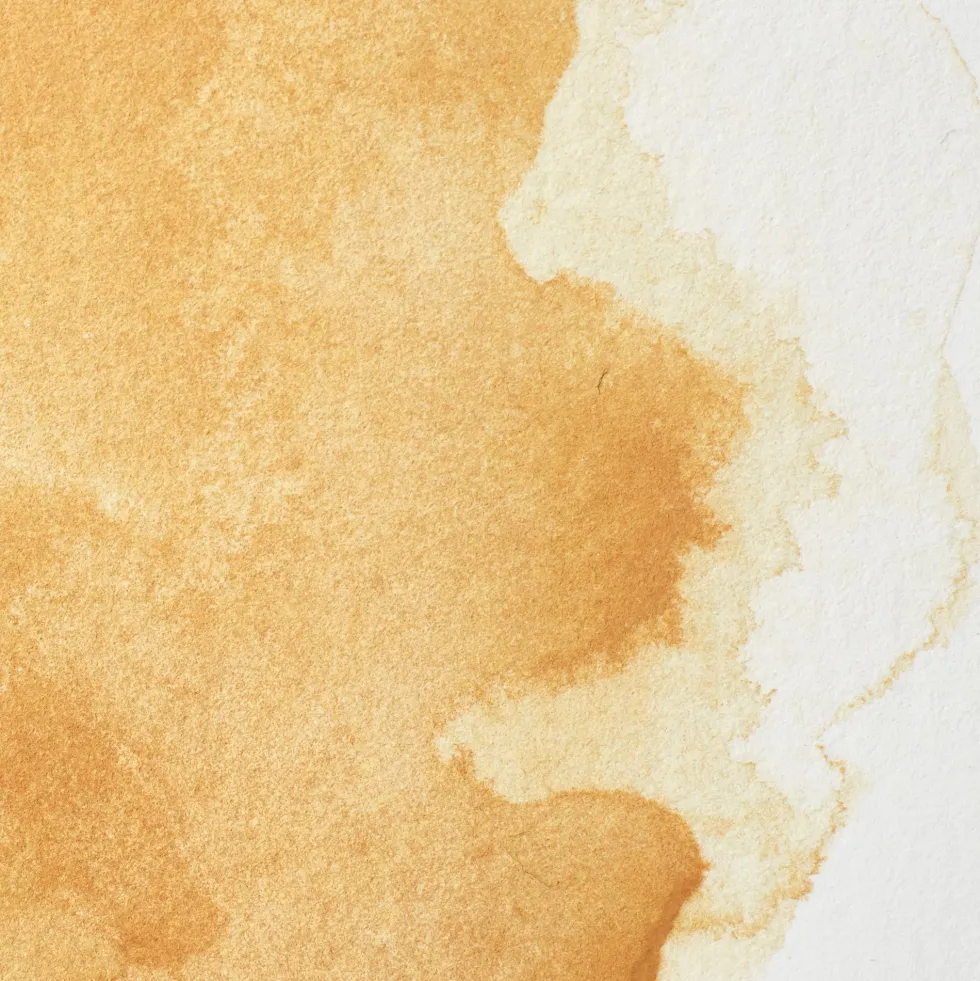 Farba akwarelowa Professional w półkostce - Winsor & Newton - Naples Yellow