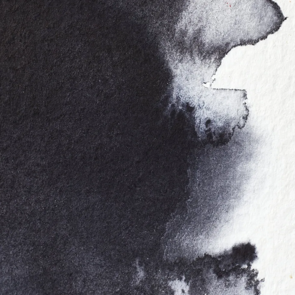 Farba akwarelowa Professional w półkostce - Winsor & Newton - Neutral Tint