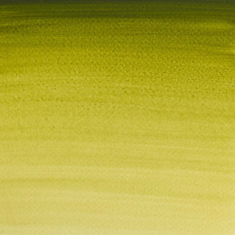 Farba akwarelowa Professional w półkostce - Winsor & Newton - Olive Green