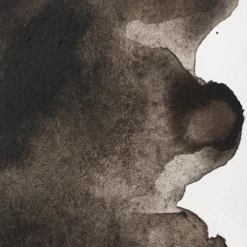 Farba akwarelowa Professional w półkostce - Winsor & Newton - Sepia