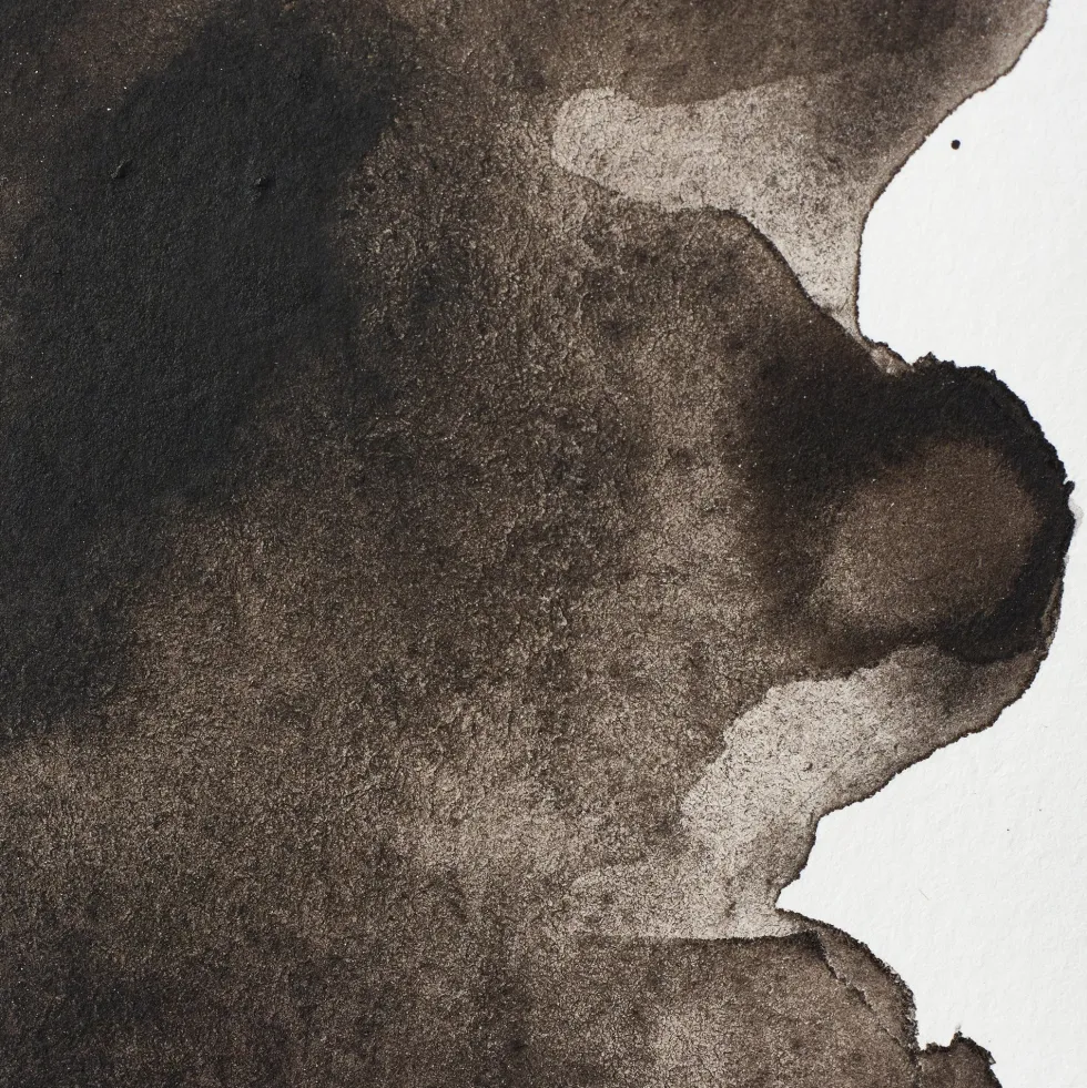 Farba akwarelowa Professional w półkostce - Winsor & Newton - Sepia