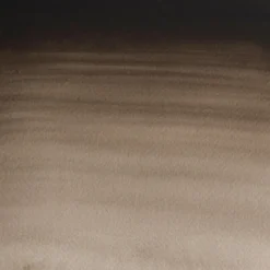 Farba akwarelowa Professional w półkostce - Winsor & Newton - Sepia