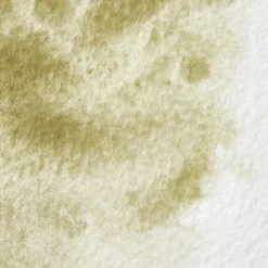Farba akwarelowa Professional w półkostce - Winsor & Newton - Terre Verte (Yellow Shade)