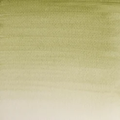 Farba akwarelowa Professional w półkostce - Winsor & Newton - Terre Verte (Yellow Shade)