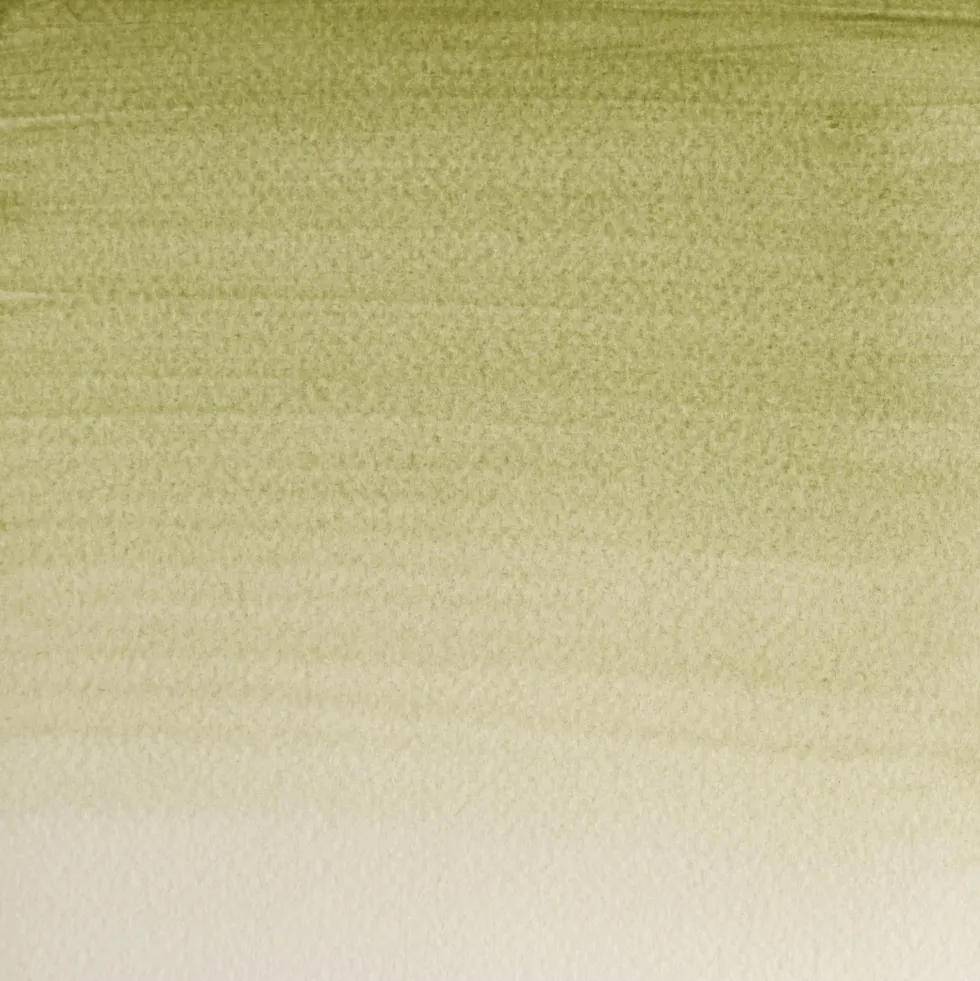 Farba akwarelowa Professional w półkostce - Winsor & Newton - Terre Verte (Yellow Shade)