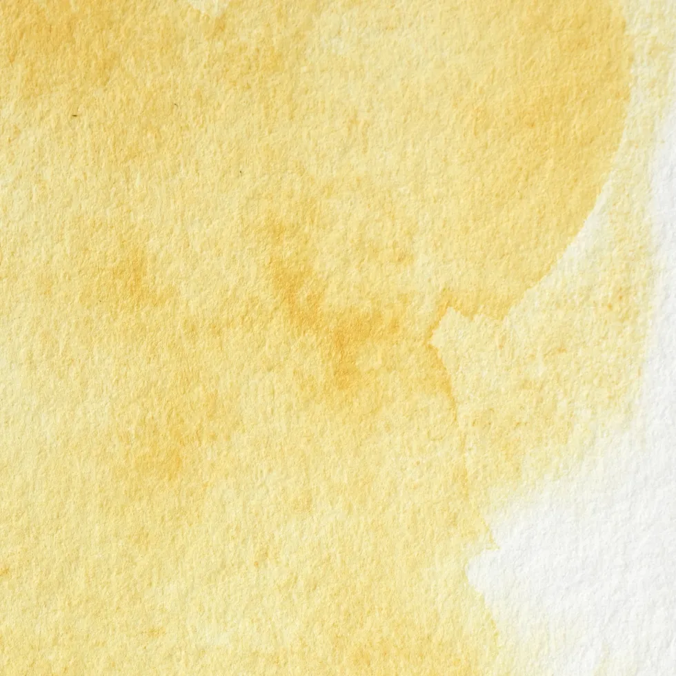Farba akwarelowa Professional w półkostce - Winsor & Newton - Turner's Yellow