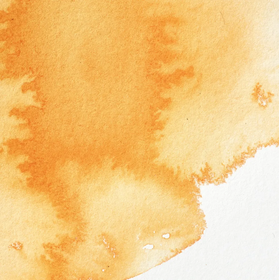 Farba akwarelowa Professional w półkostce - Winsor & Newton - Winsor Orange