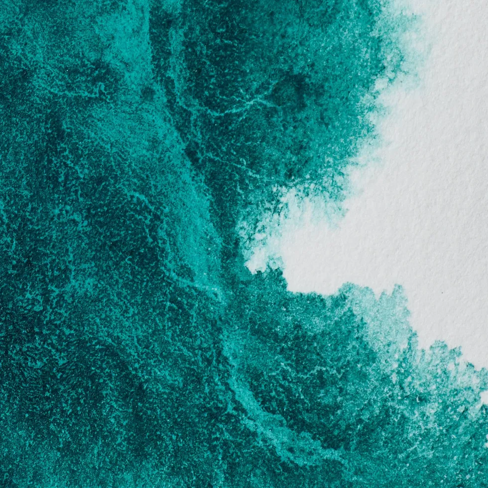 Farba akwarelowa Professional w półkostce - Winsor & Newton - Winsor Blue (Green Shade)