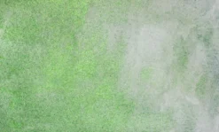 Farba akwarelowa w kostce Gansai Tambi - Kuretake - Gem Green