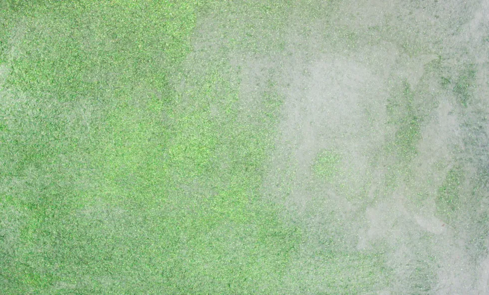 Farba akwarelowa w kostce Gansai Tambi - Kuretake - Gem Green