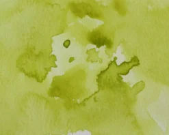 Farba akwarelowa w kostce Gansai Tambi - Kuretake - Greenish Yellow
