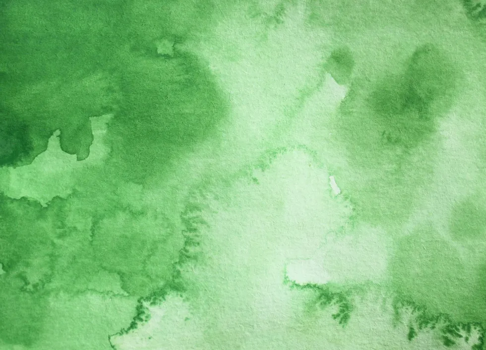 Farba akwarelowa w kostce Gansai Tambi - Kuretake - Ivy Green