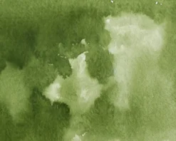 Farba akwarelowa w kostce Gansai Tambi - Kuretake - Olive Green