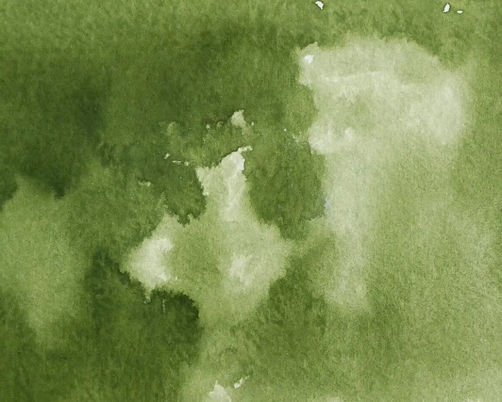 Farba akwarelowa w kostce Gansai Tambi - Kuretake - Olive Green