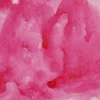 Farba akwarelowa w kostce Gansai Tambi - Kuretake - Rose Madder
