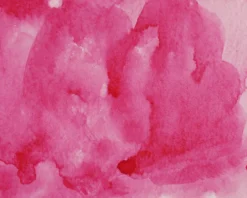 Farba akwarelowa w kostce Gansai Tambi - Kuretake - Rose Madder