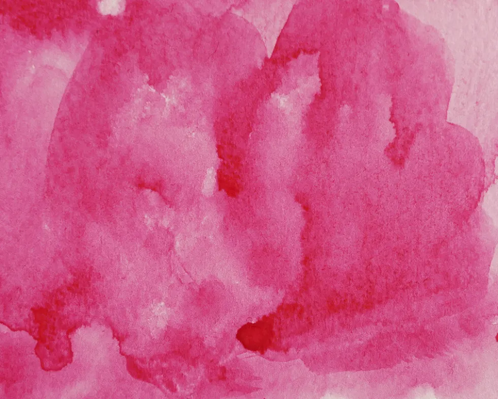 Farba akwarelowa w kostce Gansai Tambi - Kuretake - Rose Madder