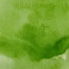 Farba akwarelowa w kostce Gansai Tambi - Kuretake - Sap Green Light