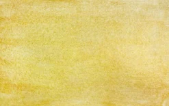 Farba akwarelowa w kostce Gansai Tambi - Kuretake - Yellow Gold