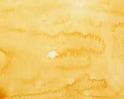 Farba akwarelowa w kostce Gansai Tambi - Kuretake - Yellow Ochre
