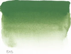 Farba akwarelowa w półkostce l’Aquarelle - Sennelier - 815, Chromium Oxide Green