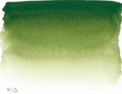 Farba akwarelowa w półkostce l’Aquarelle - Sennelier - 819, Sap Green