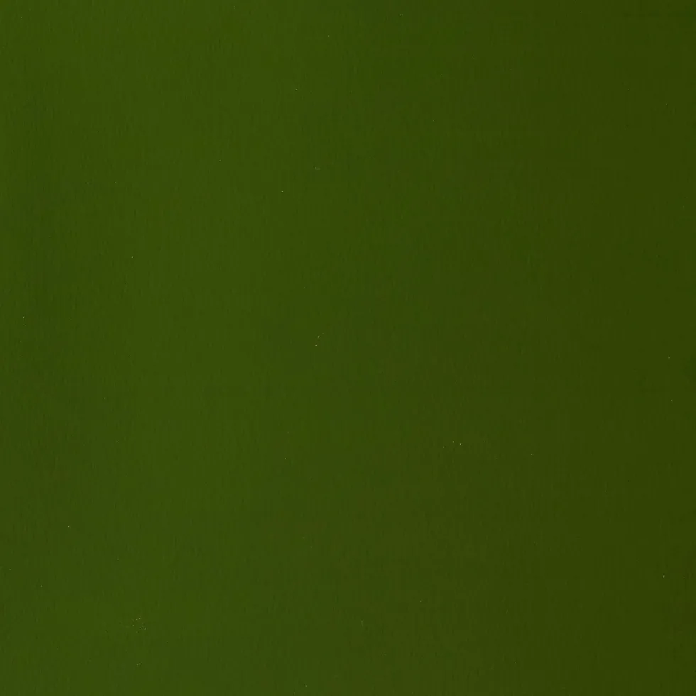 Farba gwasz Designers Gouache - Winsor & Newton - Olive Green, 14 ml