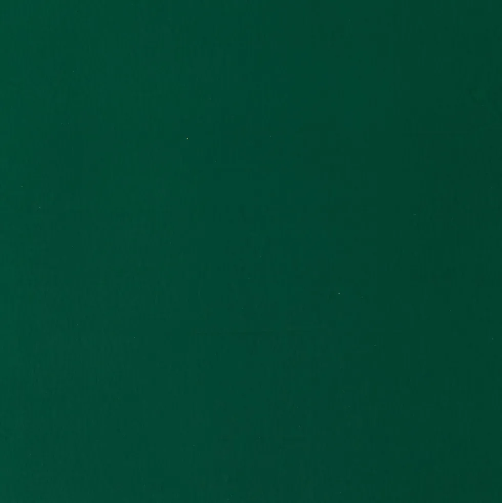 Farba gwasz Designers Gouache - Winsor & Newton - Permanent Green Deep, 14 ml