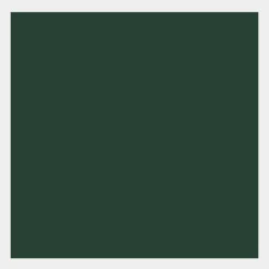 Farba gwasz Gouache Extra Fine - Talens - Fir Green, 50 ml