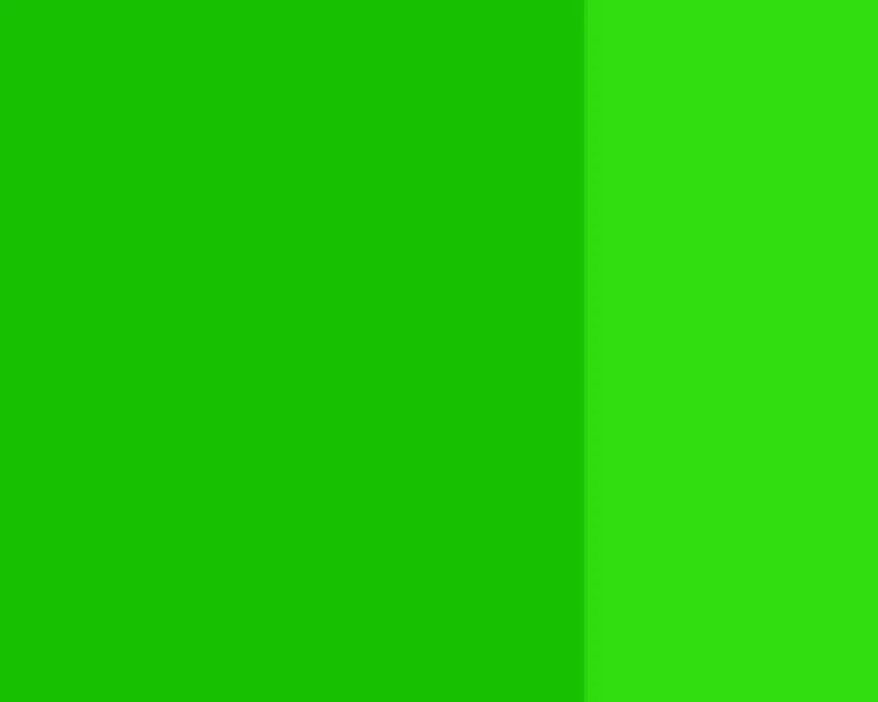 Farba gwasz Linel - Lefranc & Bourgeois - Brilliant Green 14 ml