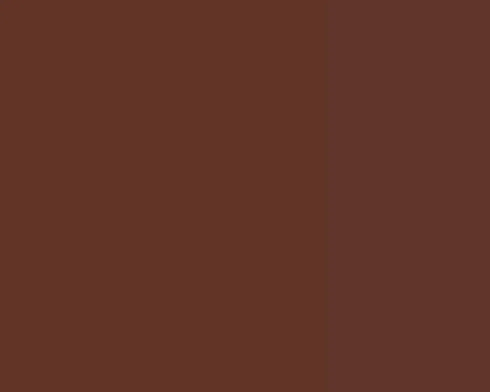 Farba gwasz Linel - Lefranc & Bourgeois - Burnt Umber 14 ml