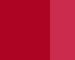 Farba gwasz Linel - Lefranc & Bourgeois - Cadmium Free Red Medium 14 ml