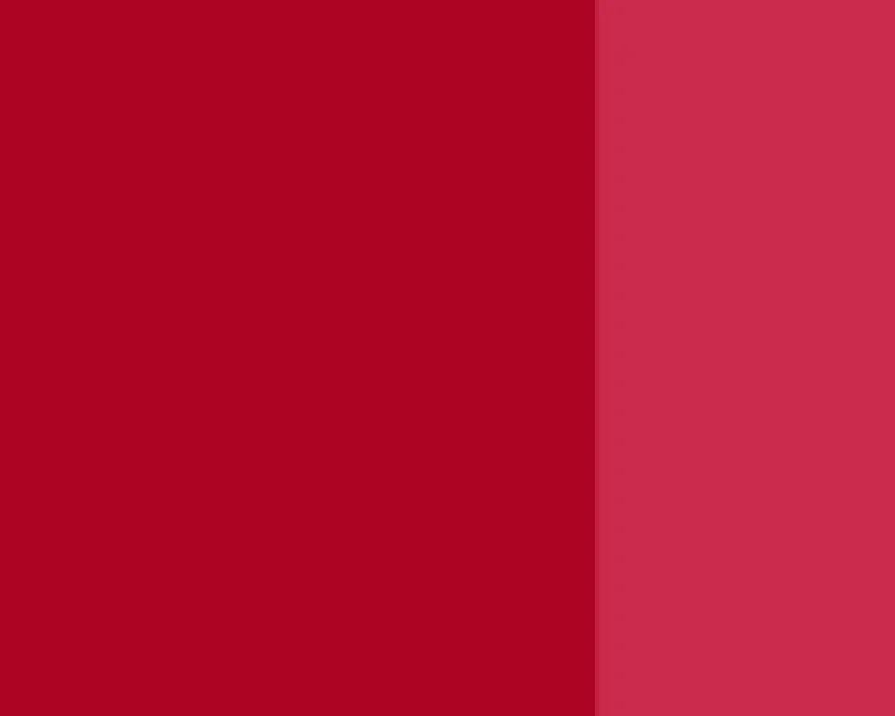 Farba gwasz Linel - Lefranc & Bourgeois - Cadmium Free Red Medium 14 ml