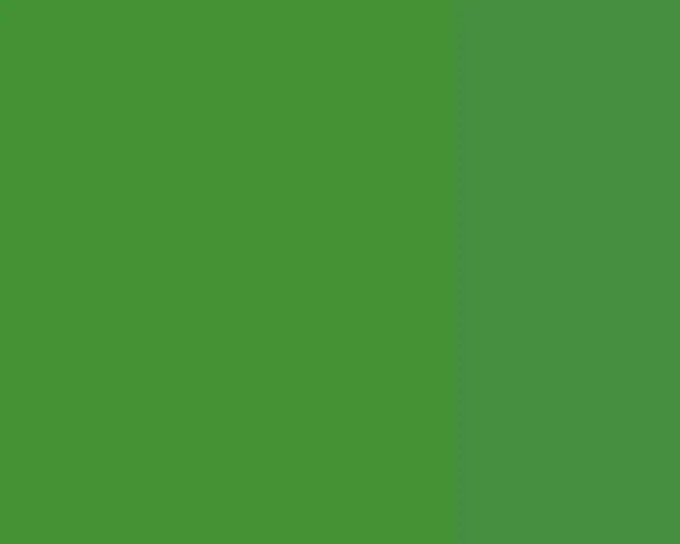 Farba gwasz Linel - Lefranc & Bourgeois - Chrome Oxyde Green 14 ml