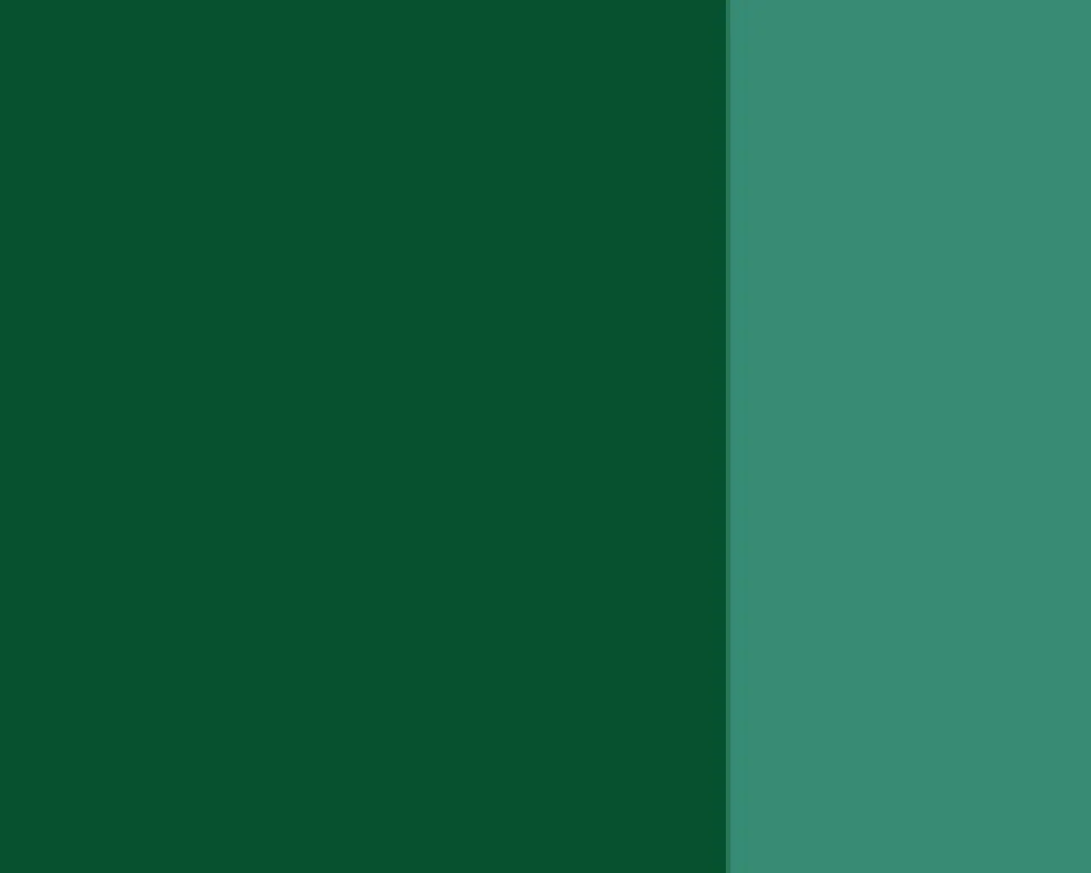 Farba gwasz Linel - Lefranc & Bourgeois - Cobalt Green Deep 14 ml