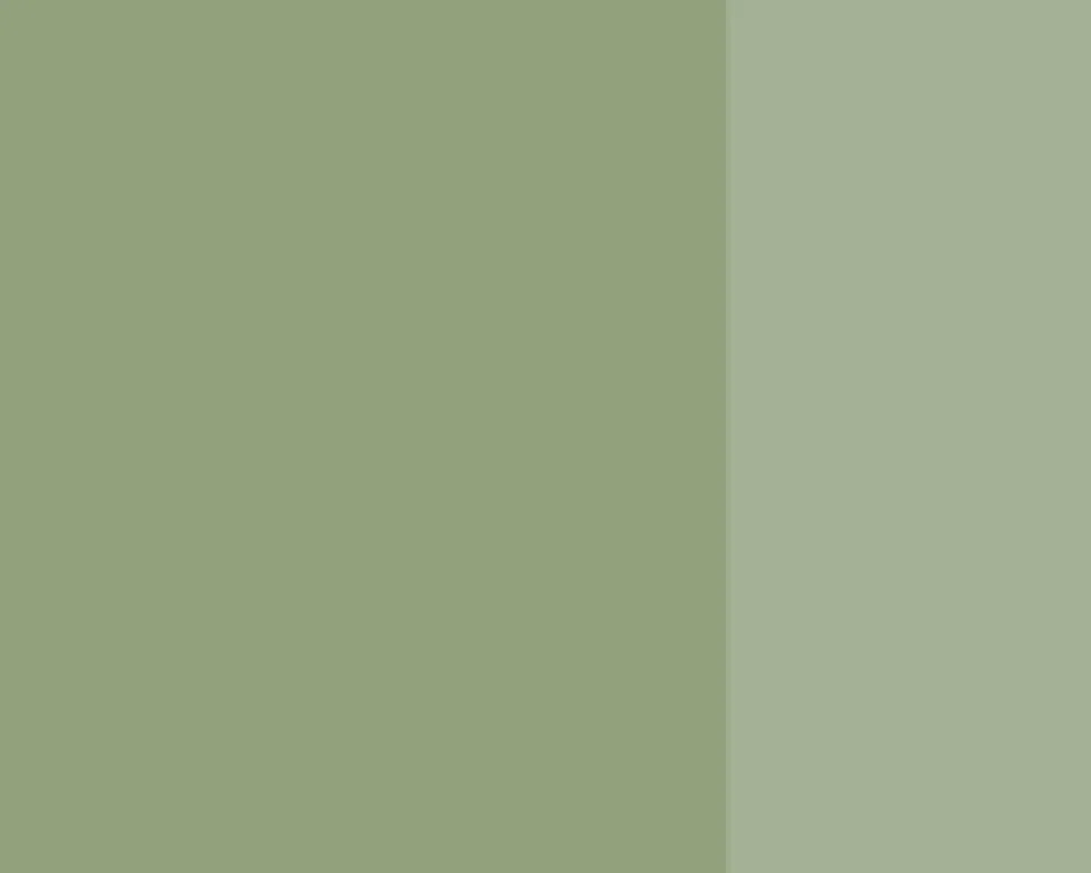 Farba gwasz Linel - Lefranc & Bourgeois - Lichen Grey 14 ml