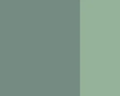 Farba gwasz Linel - Lefranc & Bourgeois - Neutral Grey 14 ml