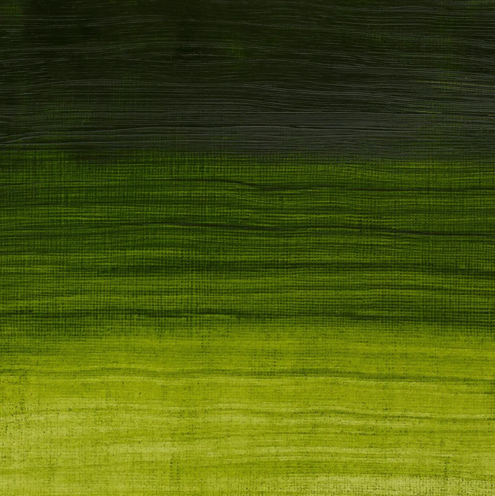 Farba olejna Artisan Water - Winsor & Newton - Permanent Sap Green, 37 ml