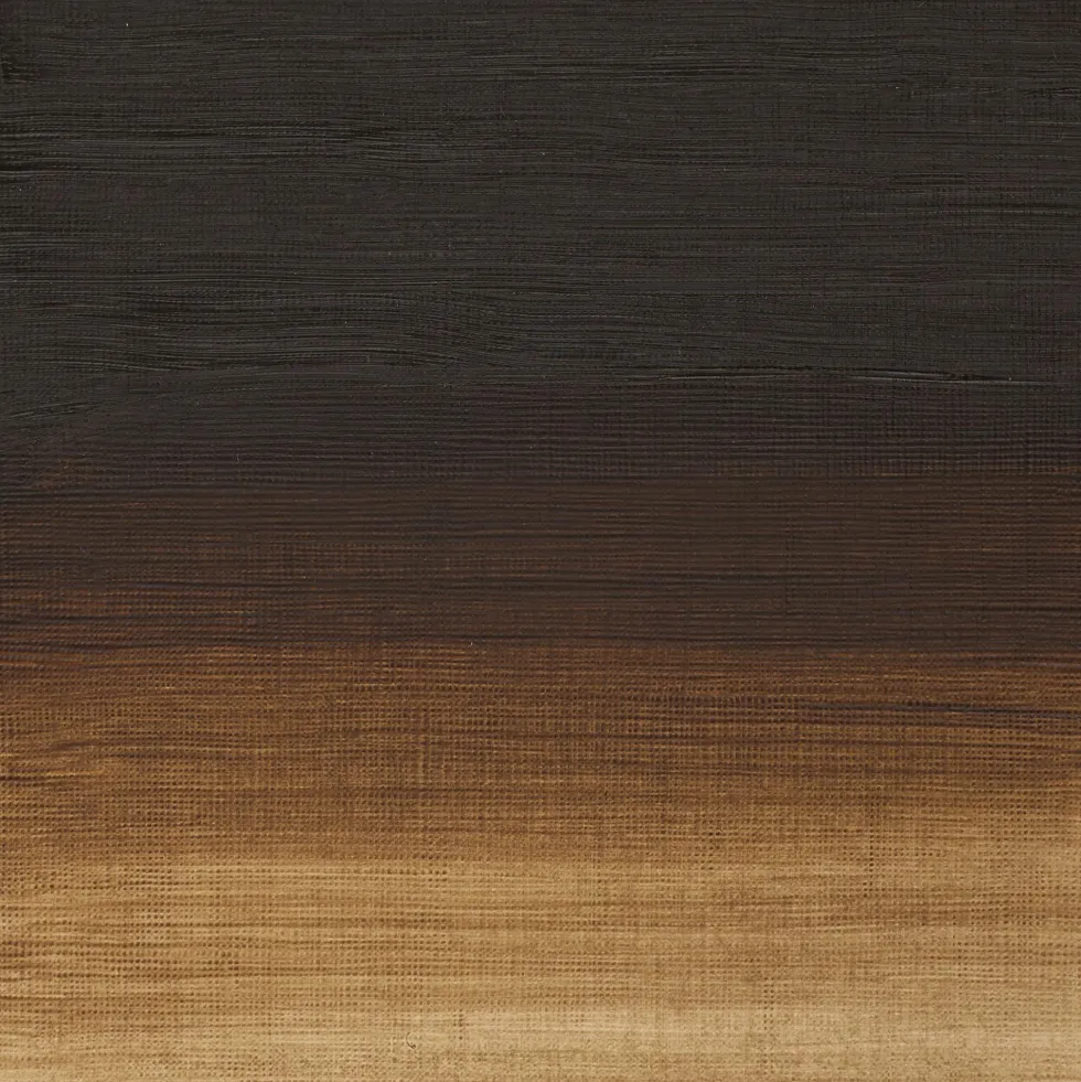 Farba olejna Artists' Oil Colour - Winsor & Newton - Raw Umber, 37 ml