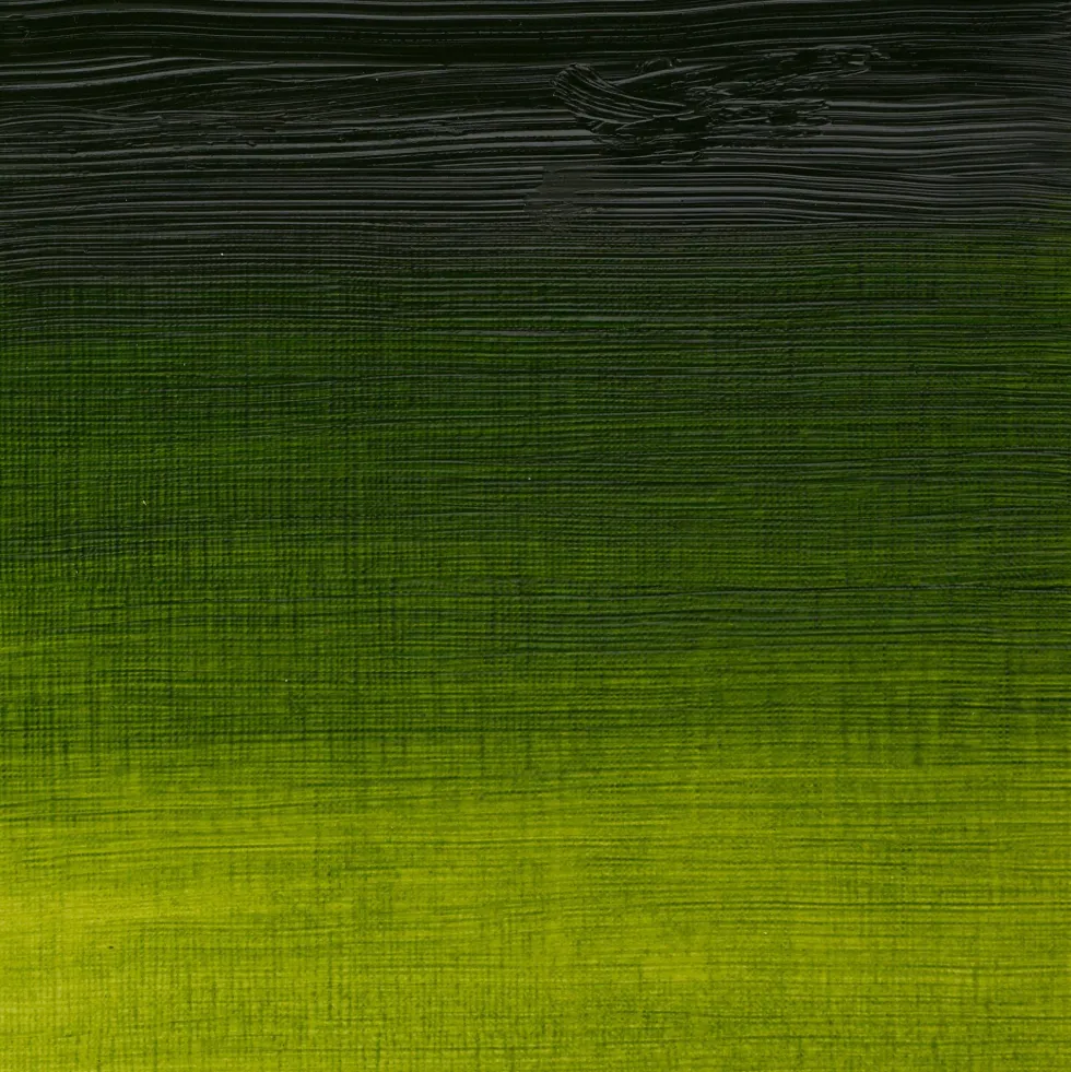 Farba olejna Artists' Oil Colour - Winsor & Newton - Sap Green, 37 ml