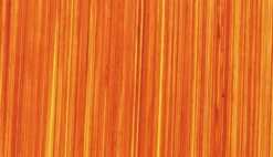 Farba olejna - Michael Harding - 411, Quinacridone Gold, 40 ml