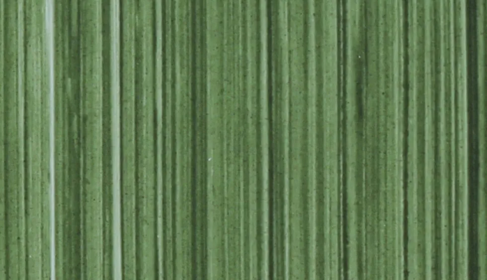 Farba olejna - Michael Harding - 115, Terre Verte, 40 ml