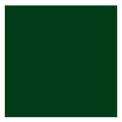 Farba olejna - Rembrandt - Green Earth, 40 ml