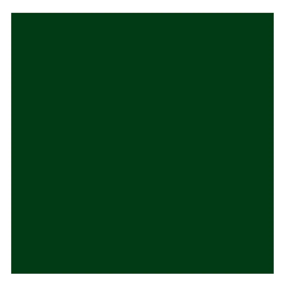 Farba olejna - Rembrandt - Green Earth, 40 ml