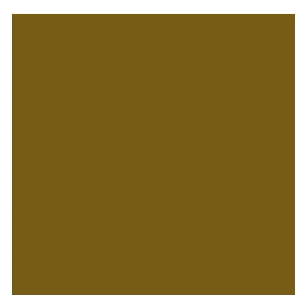 Farba olejna - Rembrandt - Greenish Umber, 40 ml