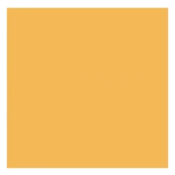 Farba olejna - Rembrandt - Light Gold, 40 ml