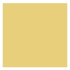 Farba olejna - Rembrandt - Naples Yellow Deep, 40 ml