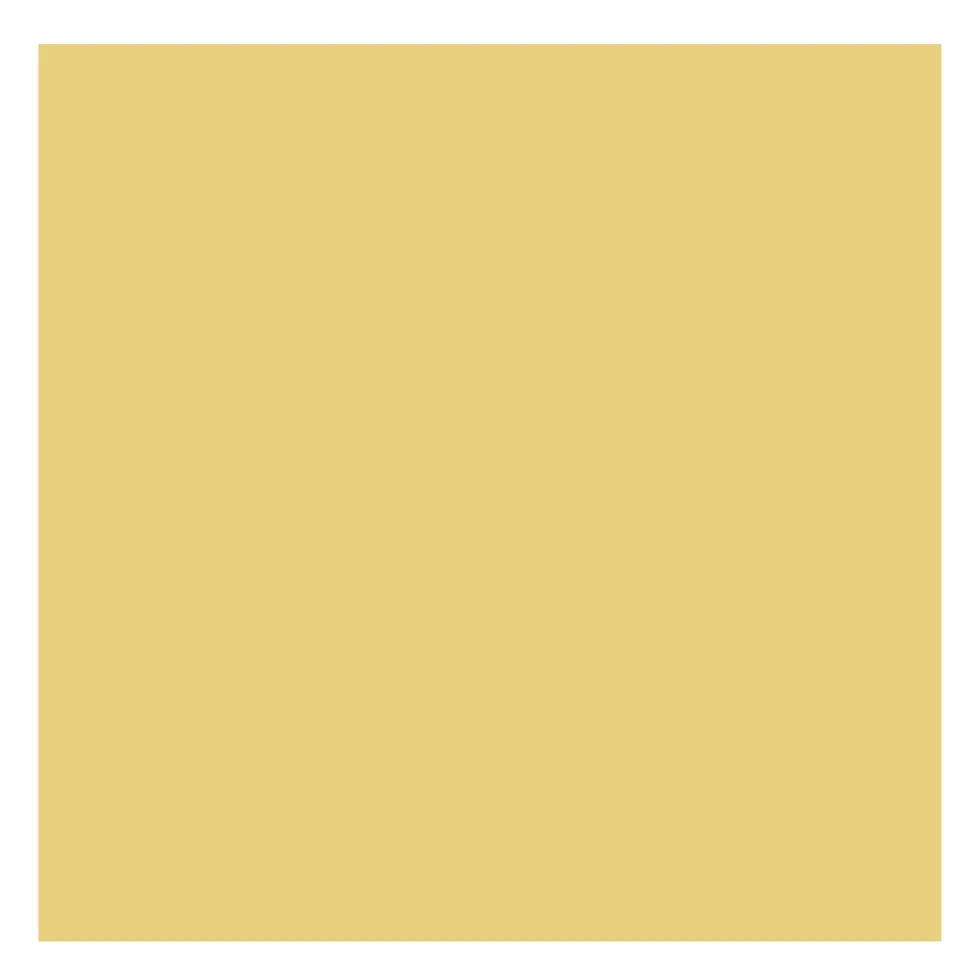 Farba olejna - Rembrandt - Naples Yellow Deep, 40 ml