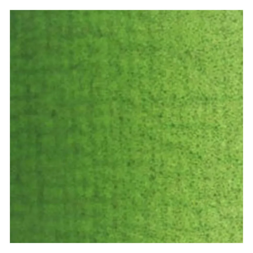 Farba olejna - Van Gogh - Sap Green, 40 ml
