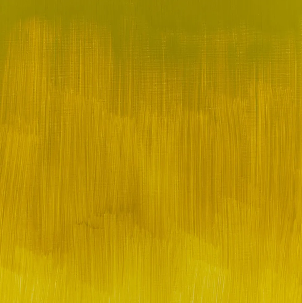 Farba olejna Winton Oil Colour - Winsor & Newton - Azo Yellow Green, 37 ml
